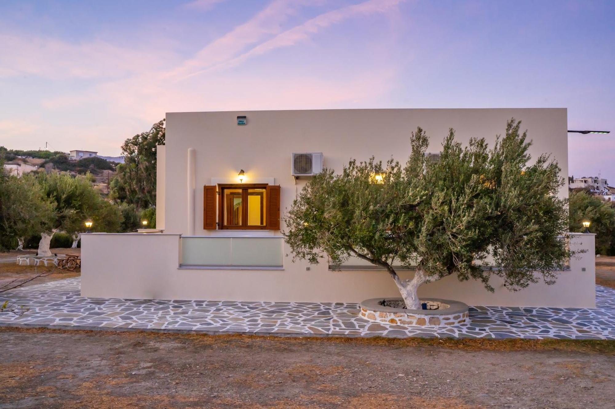 Olive Studios Karpathos Studio #1 Bagian luar foto