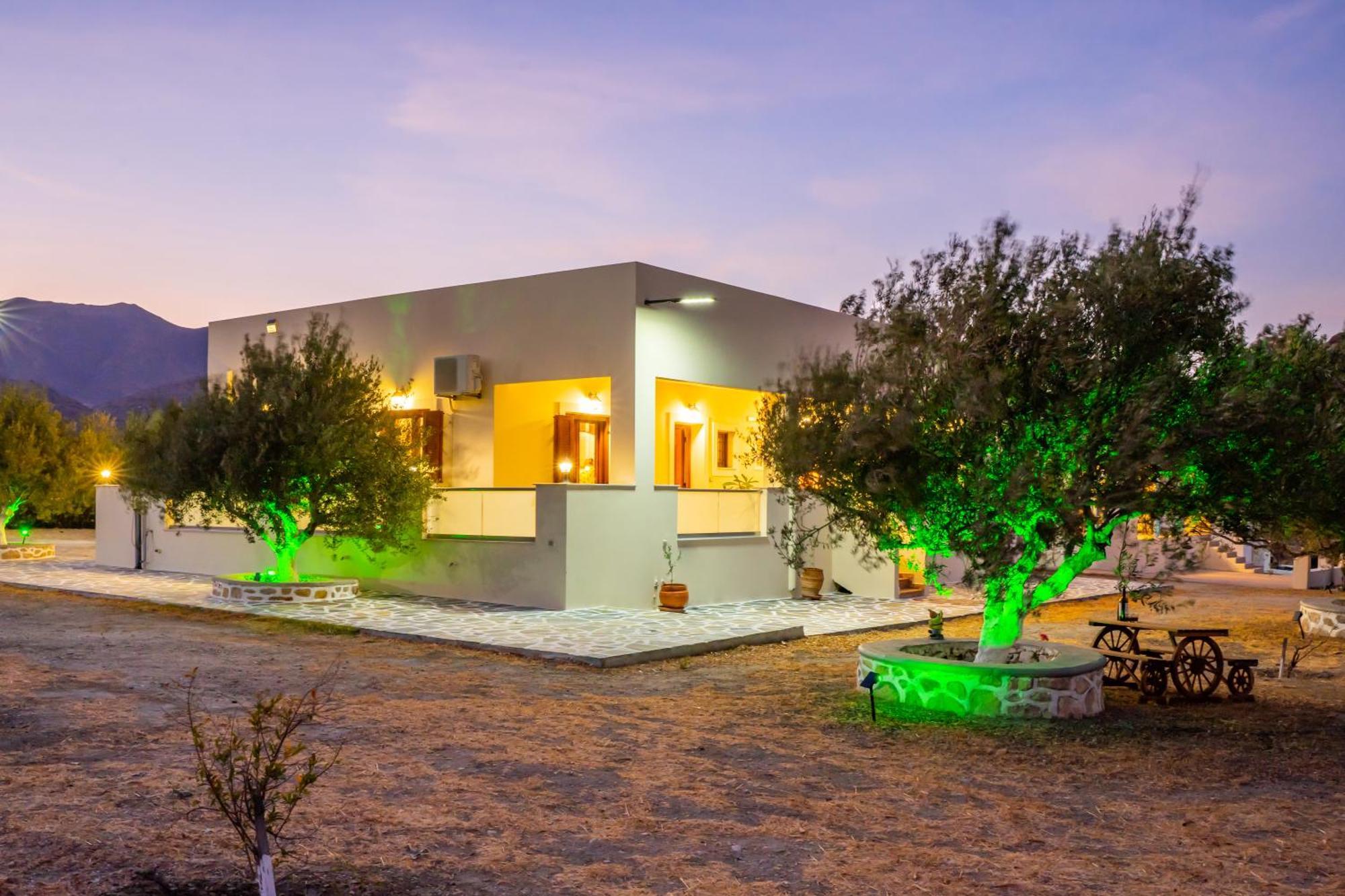 Olive Studios Karpathos Studio #1 Bagian luar foto