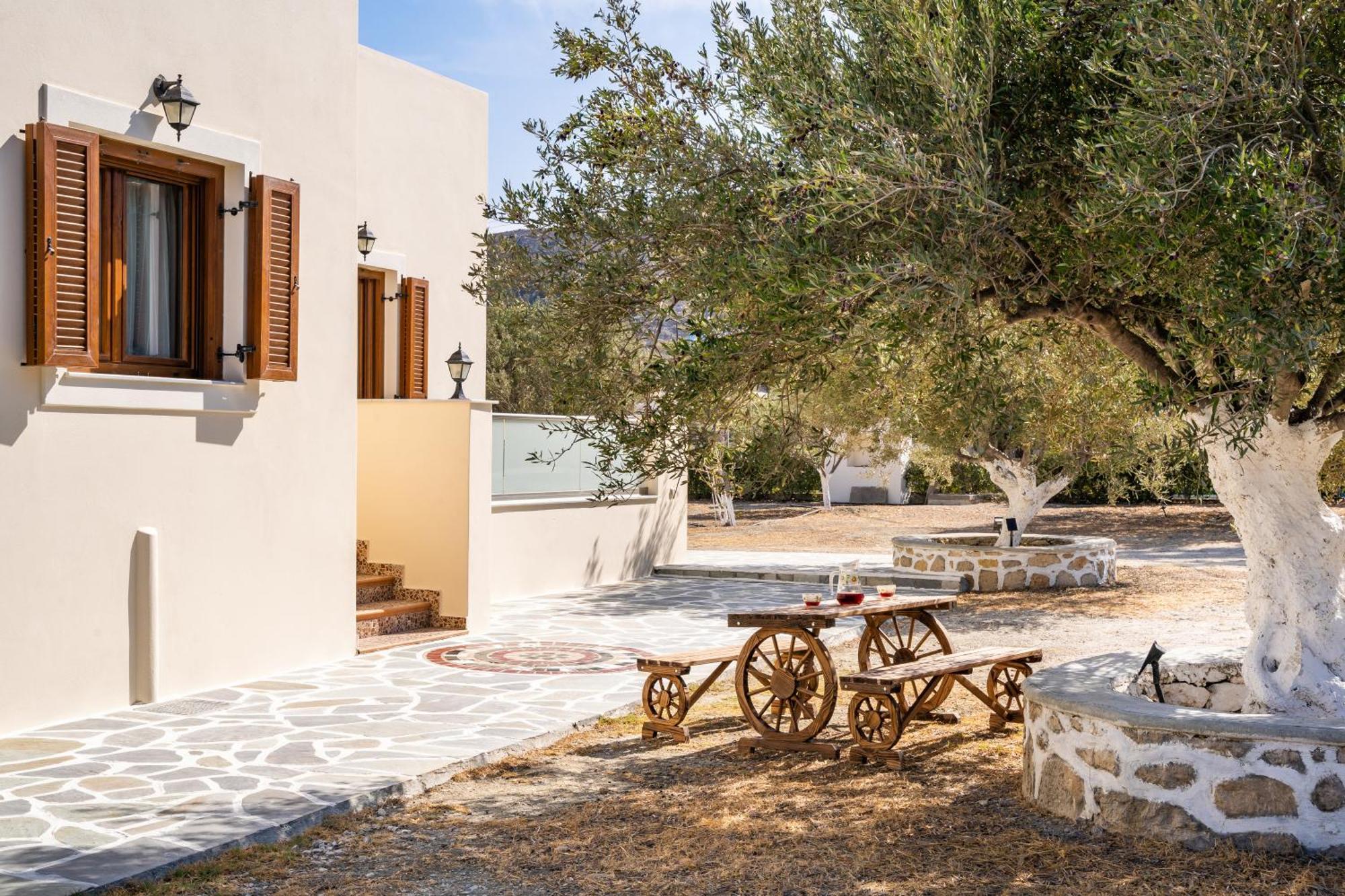 Olive Studios Karpathos Studio #1 Bagian luar foto