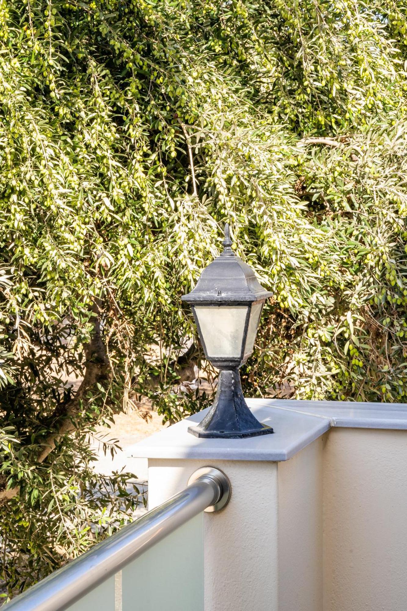 Olive Studios Karpathos Studio #1 Bagian luar foto
