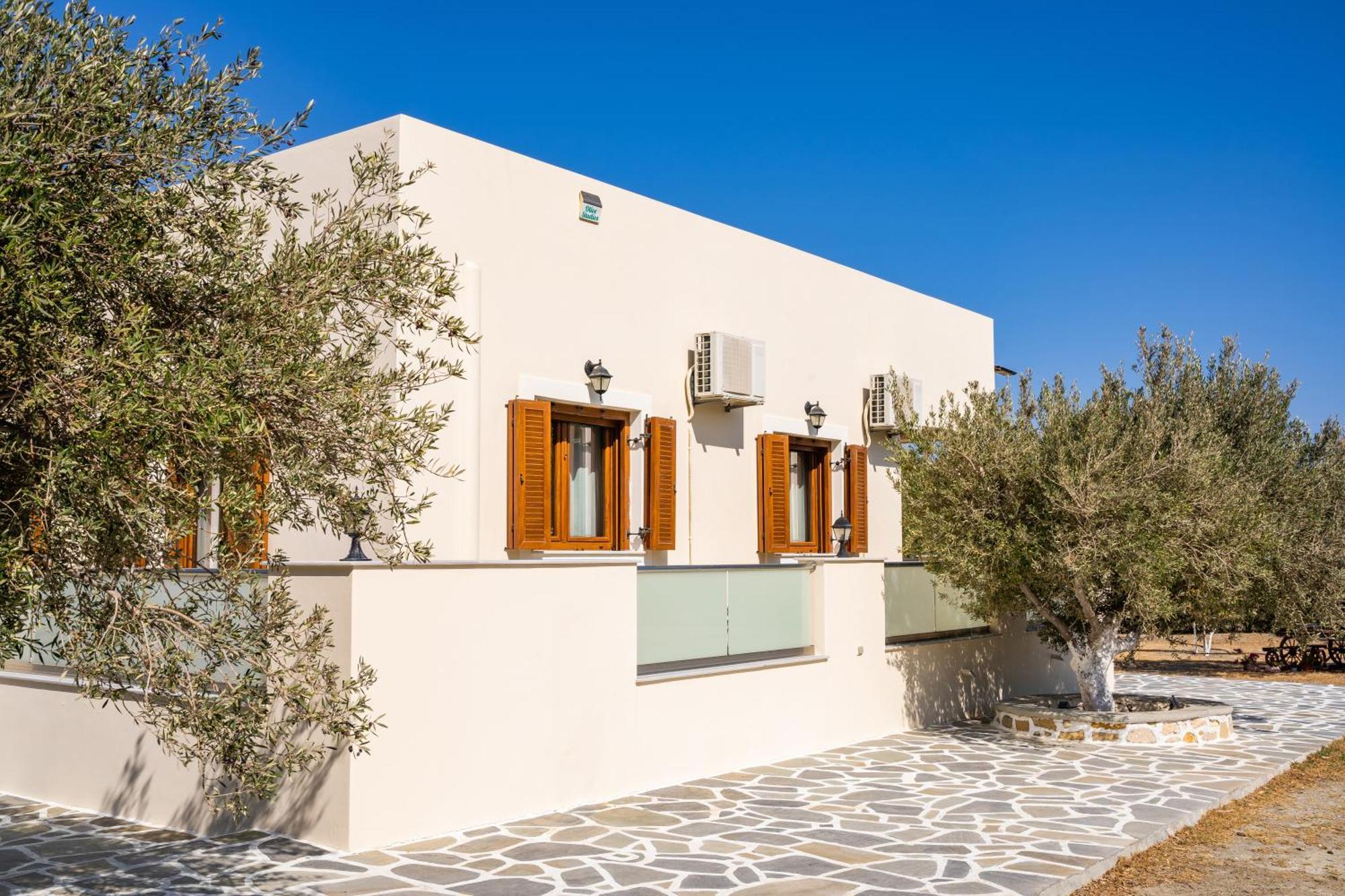 Olive Studios Karpathos Studio #1 Bagian luar foto