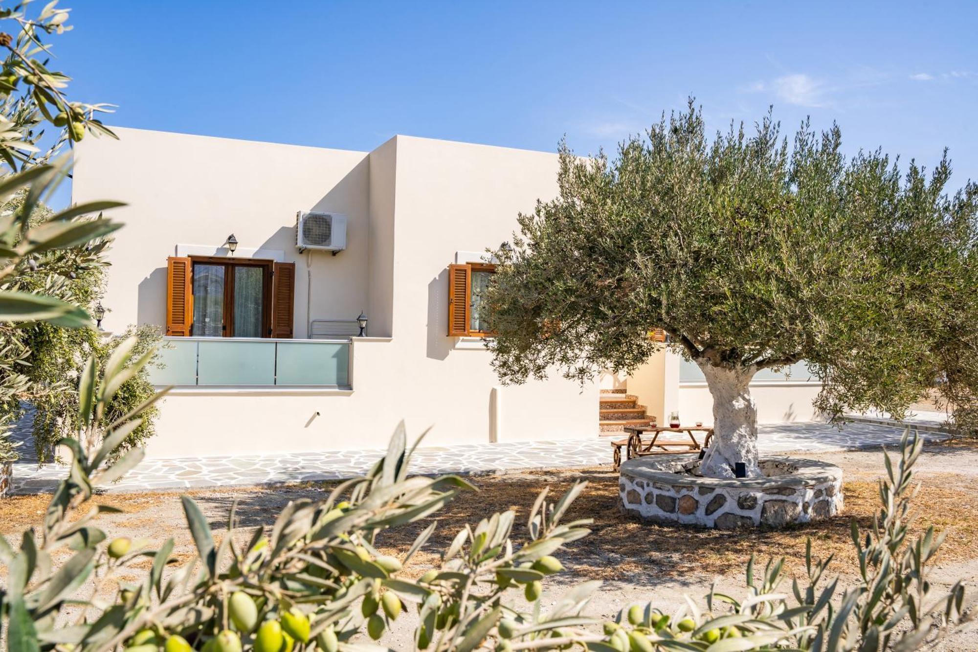 Olive Studios Karpathos Studio #1 Bagian luar foto