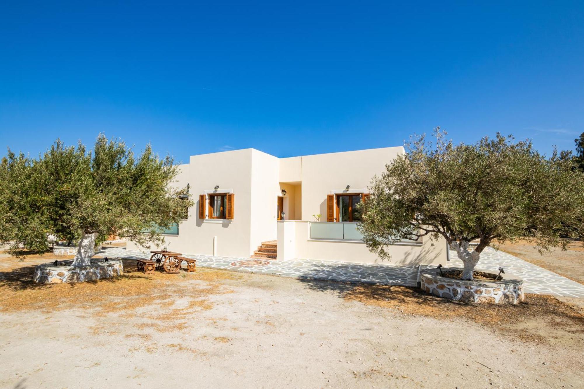 Olive Studios Karpathos Studio #1 Bagian luar foto