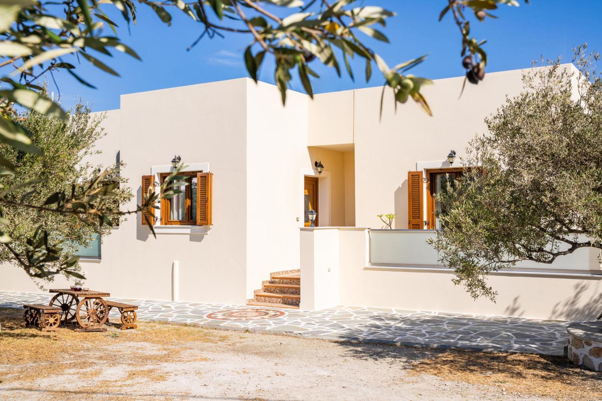 Olive Studios Karpathos Studio #1 Bagian luar foto
