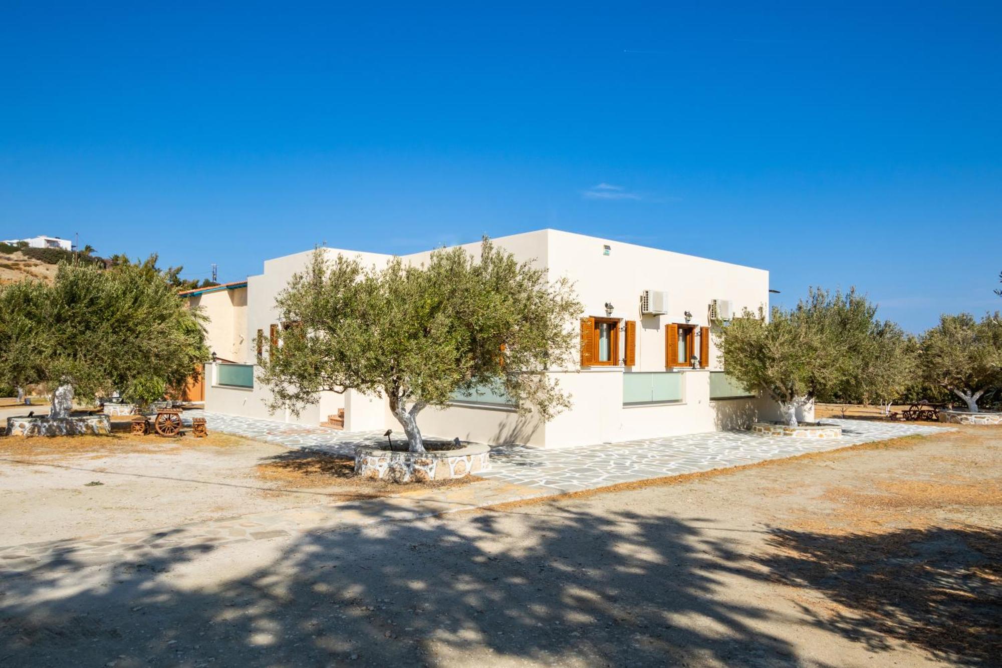 Olive Studios Karpathos Studio #1 Bagian luar foto