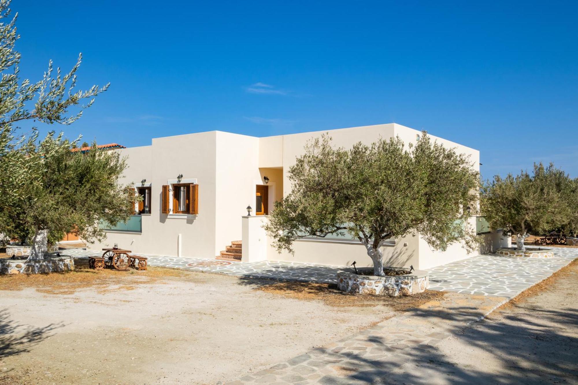 Olive Studios Karpathos Studio #1 Bagian luar foto