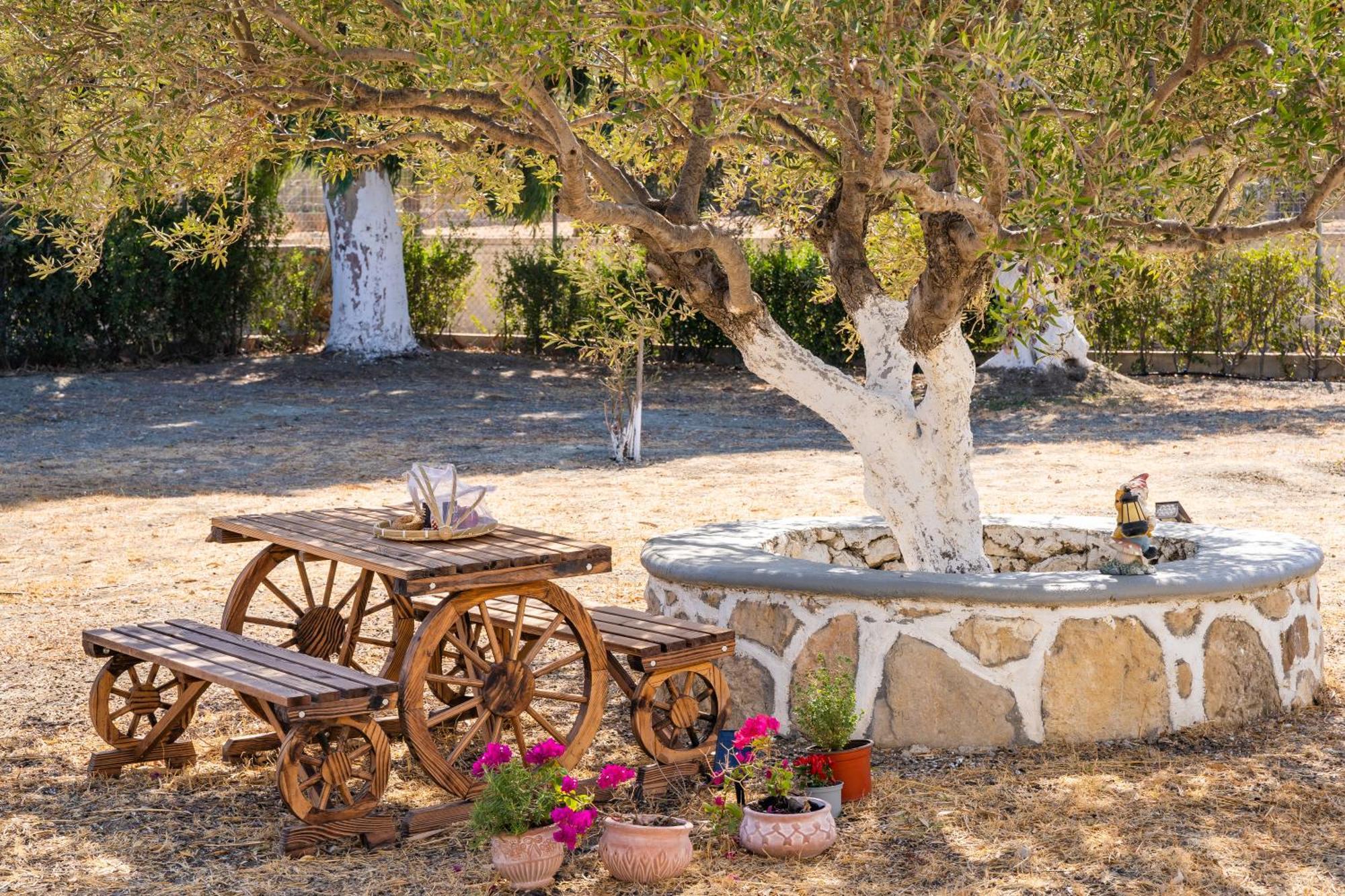 Olive Studios Karpathos Studio #1 Bagian luar foto