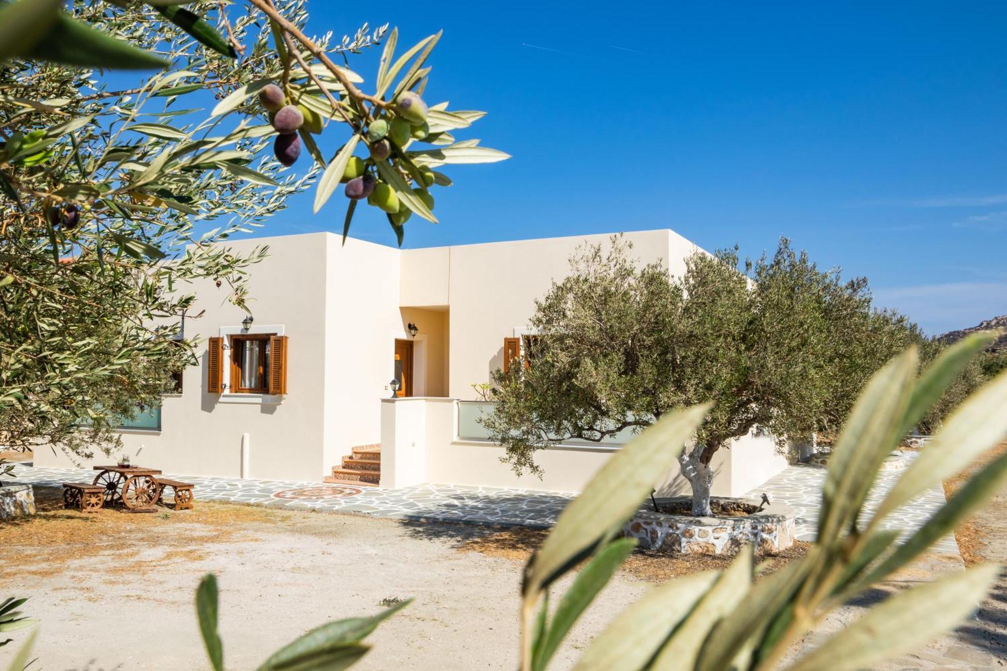 Olive Studios Karpathos Studio #1 Bagian luar foto