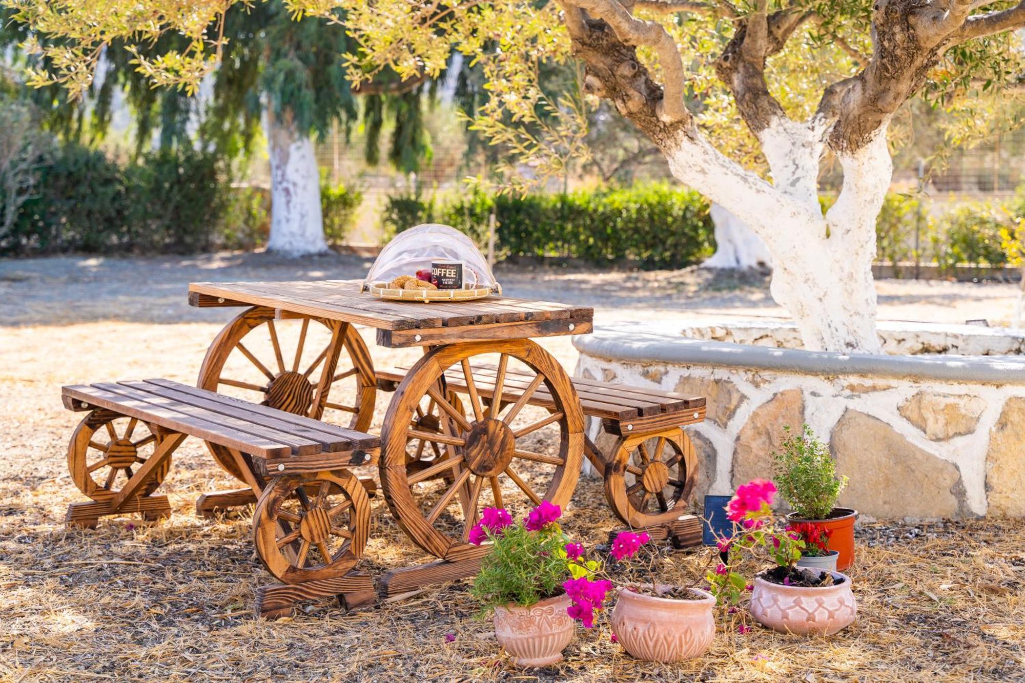 Olive Studios Karpathos Studio #1 Bagian luar foto